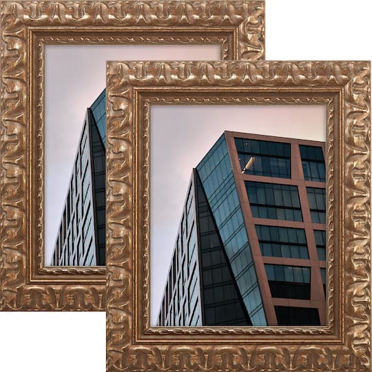 Pack Craig Frames Bravada Ornate Bronze Picture Frame